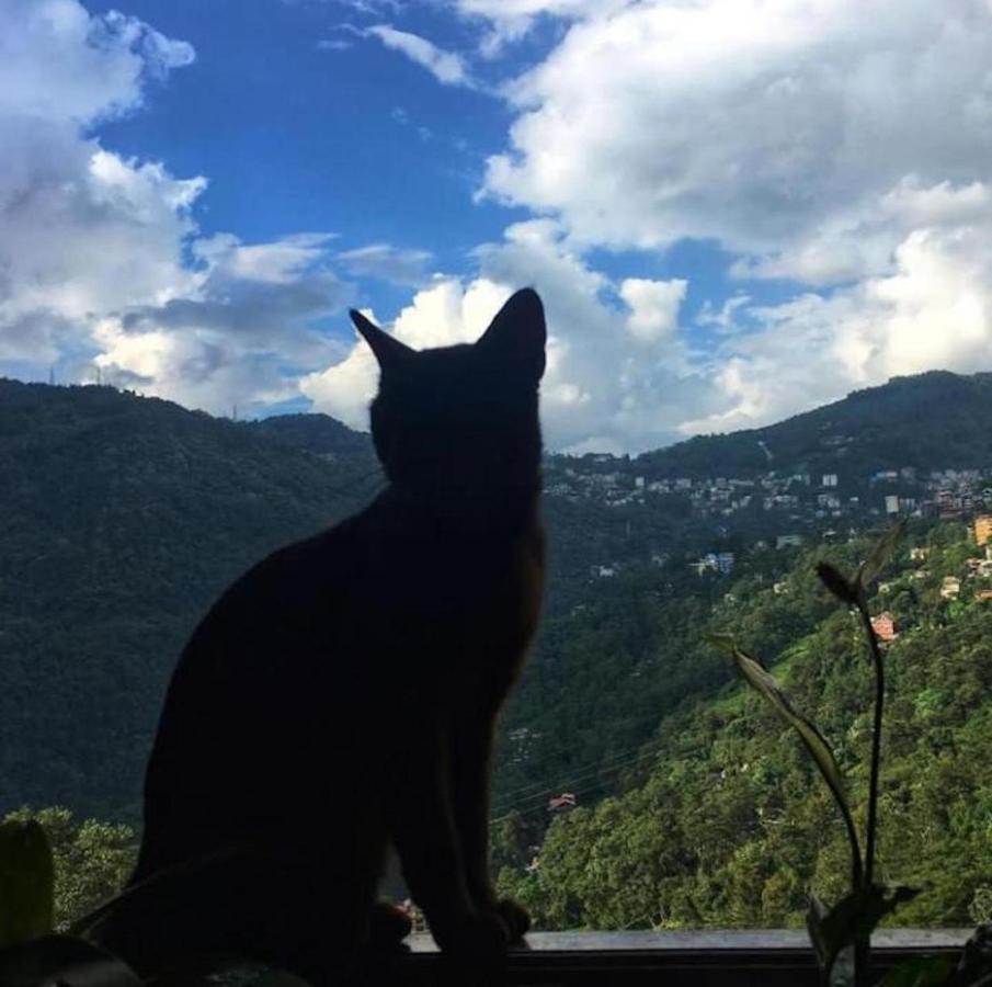 House Of Nomad Hostel Gangtok Kültér fotó