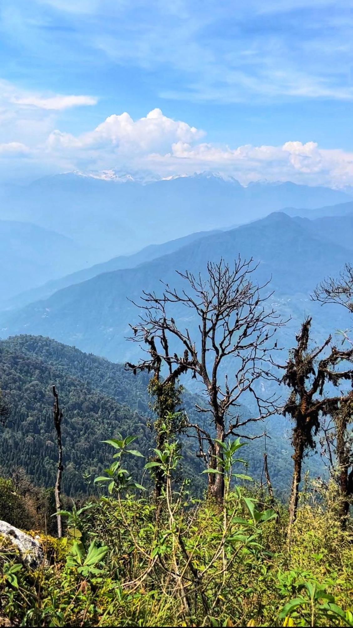 House Of Nomad Hostel Gangtok Kültér fotó